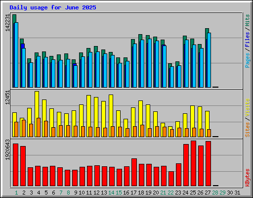 Daily usage for June 2025