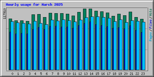 Hourly usage for March 2025