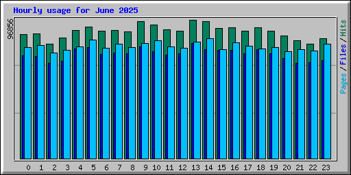 Hourly usage for June 2025