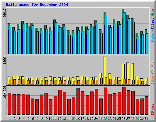 Daily usage for December 2024