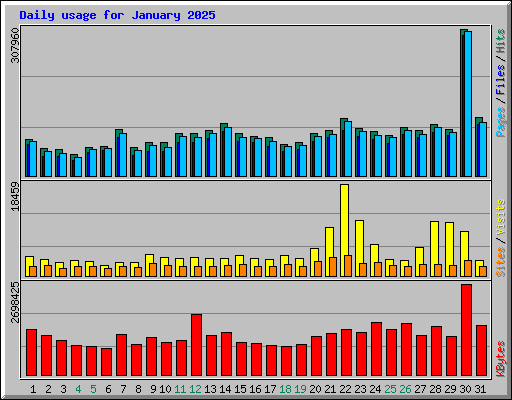 Daily usage for January 2025