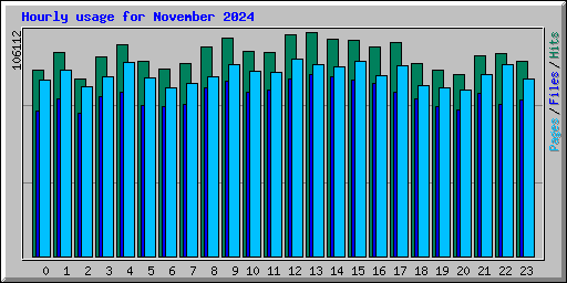 Hourly usage for November 2024
