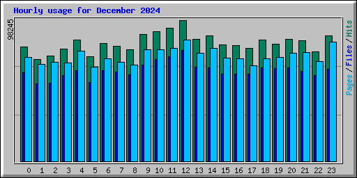 Hourly usage for December 2024