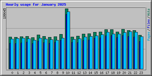 Hourly usage for January 2025