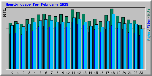 Hourly usage for February 2025