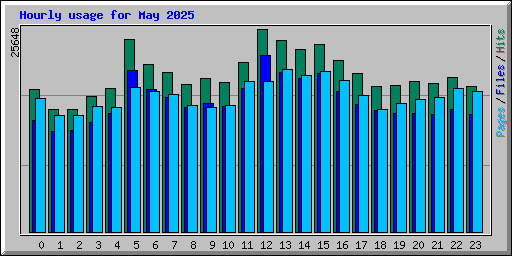 Hourly usage for May 2025