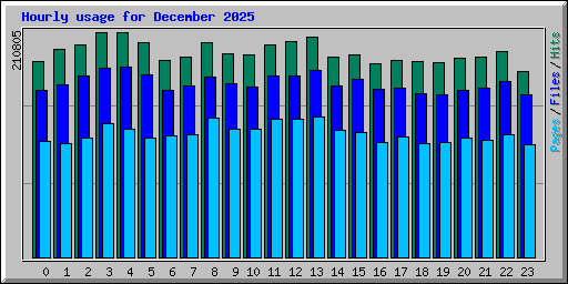 Hourly usage for December 2025