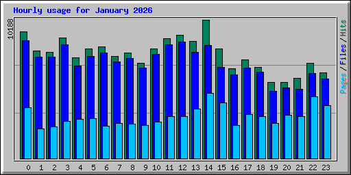 Hourly usage for January 2026