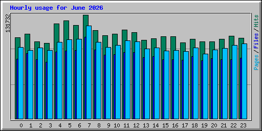 Hourly usage for June 2026