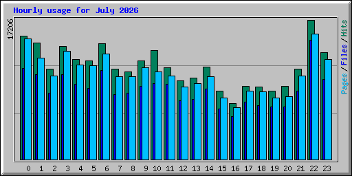 Hourly usage for July 2026